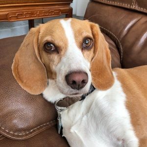 Meet your Posher, Jane